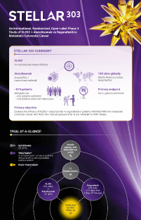 STELLAR 303 trial infographic summary for healthcare professionals