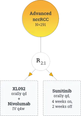 Chart explaining phase 3 randomized, open-label study of XL092 with nivolumab vs sunitinib in advanced nccRCC