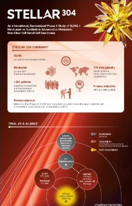 STELLAR 304 trial infographic summary for healthcare professionals