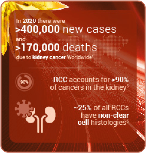 epidemiology of RCC